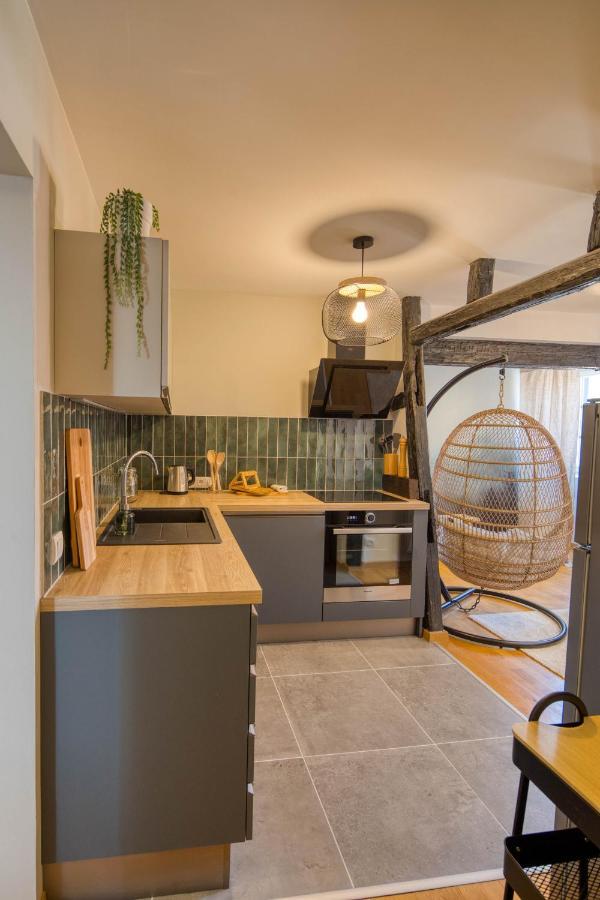 Appartement Le Verdoyant Hyper Centre Avec Sauna Et Parking Colmar Exteriör bild
