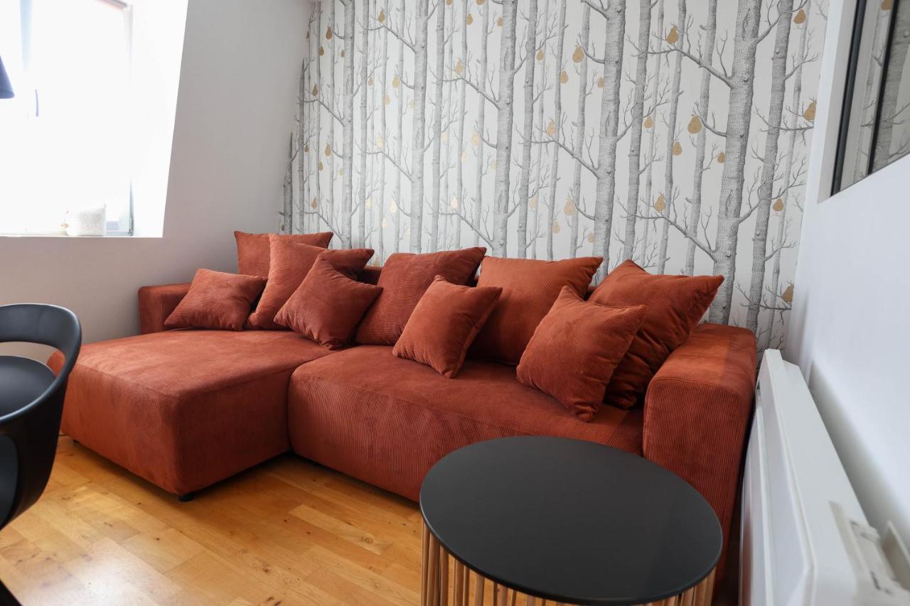 Appartement Le Verdoyant Hyper Centre Avec Sauna Et Parking Colmar Exteriör bild